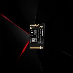 Disco M.2 1TB OEM Formato 2230