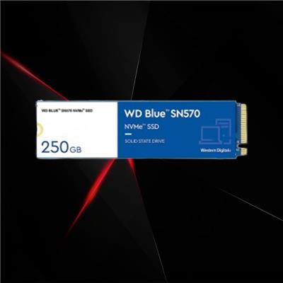 Disco SSD M.2 Nvme WD Blue SN570 250GB