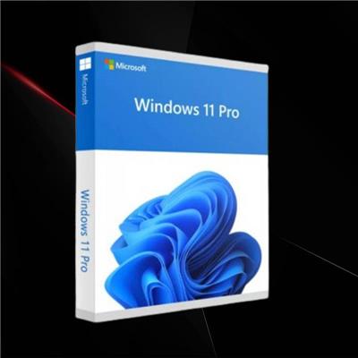 Windows 11 Pro 64 Bits